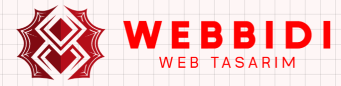 Webbidi Kamera Sistemleri V1