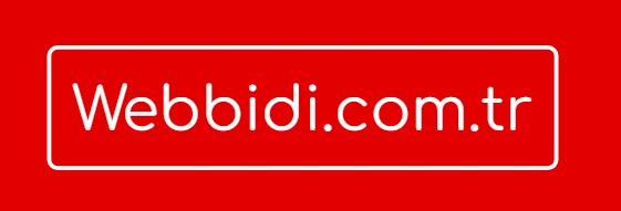 Webbidi İnşaat Yazılımı 2