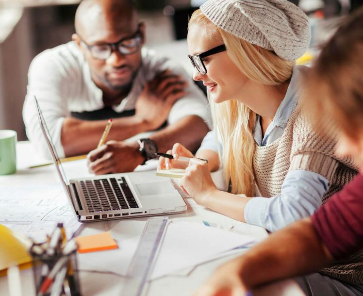 Webbidi Veterinerlik